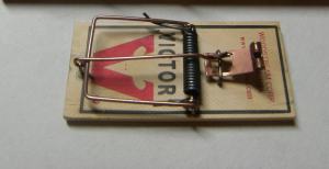 Rattrap_and_mousetrap